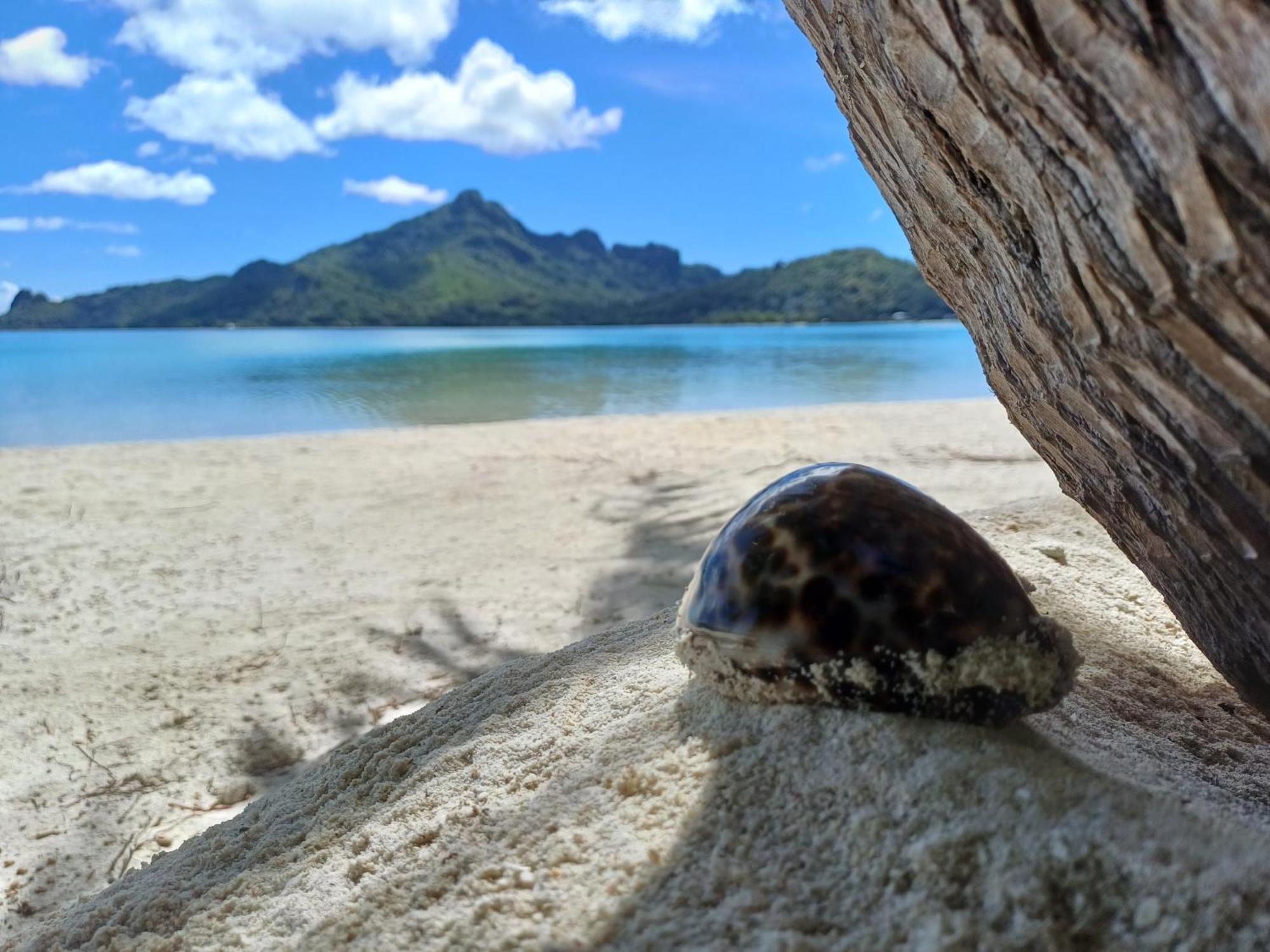 Poemanahere Island Camping A Maupiti Te-Fare-Arii 외부 사진