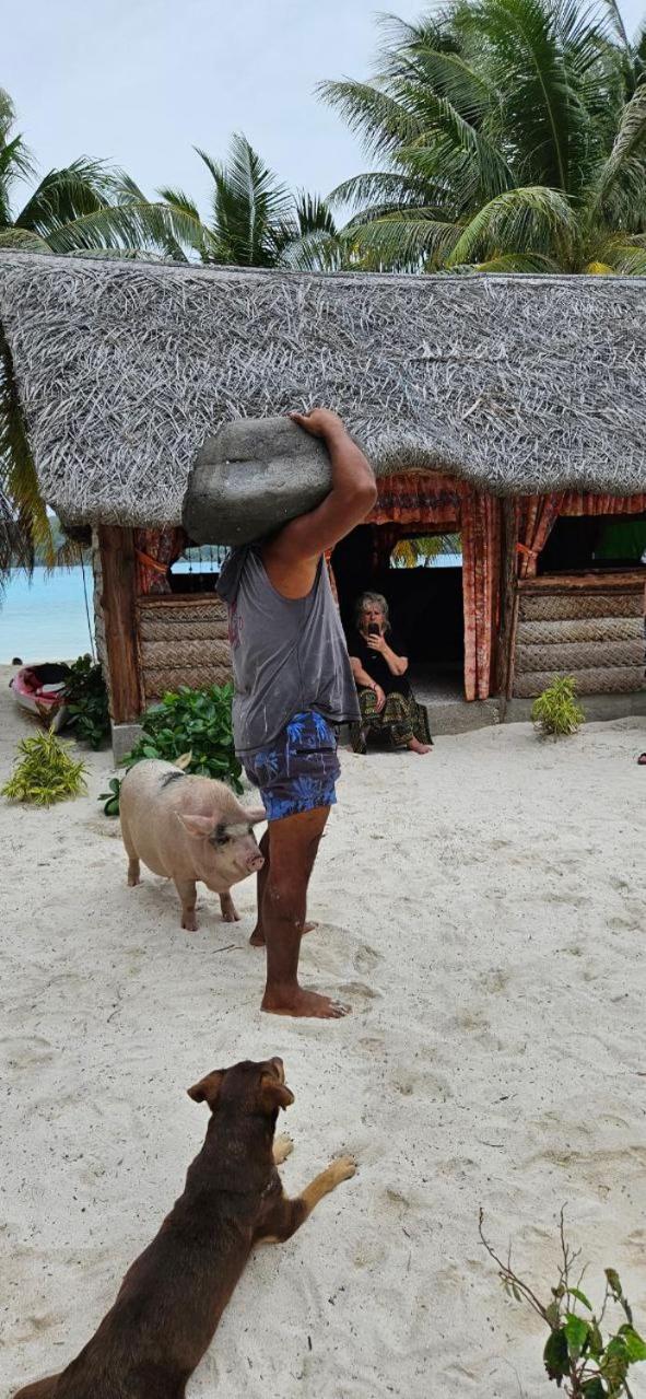 Poemanahere Island Camping A Maupiti Te-Fare-Arii 외부 사진