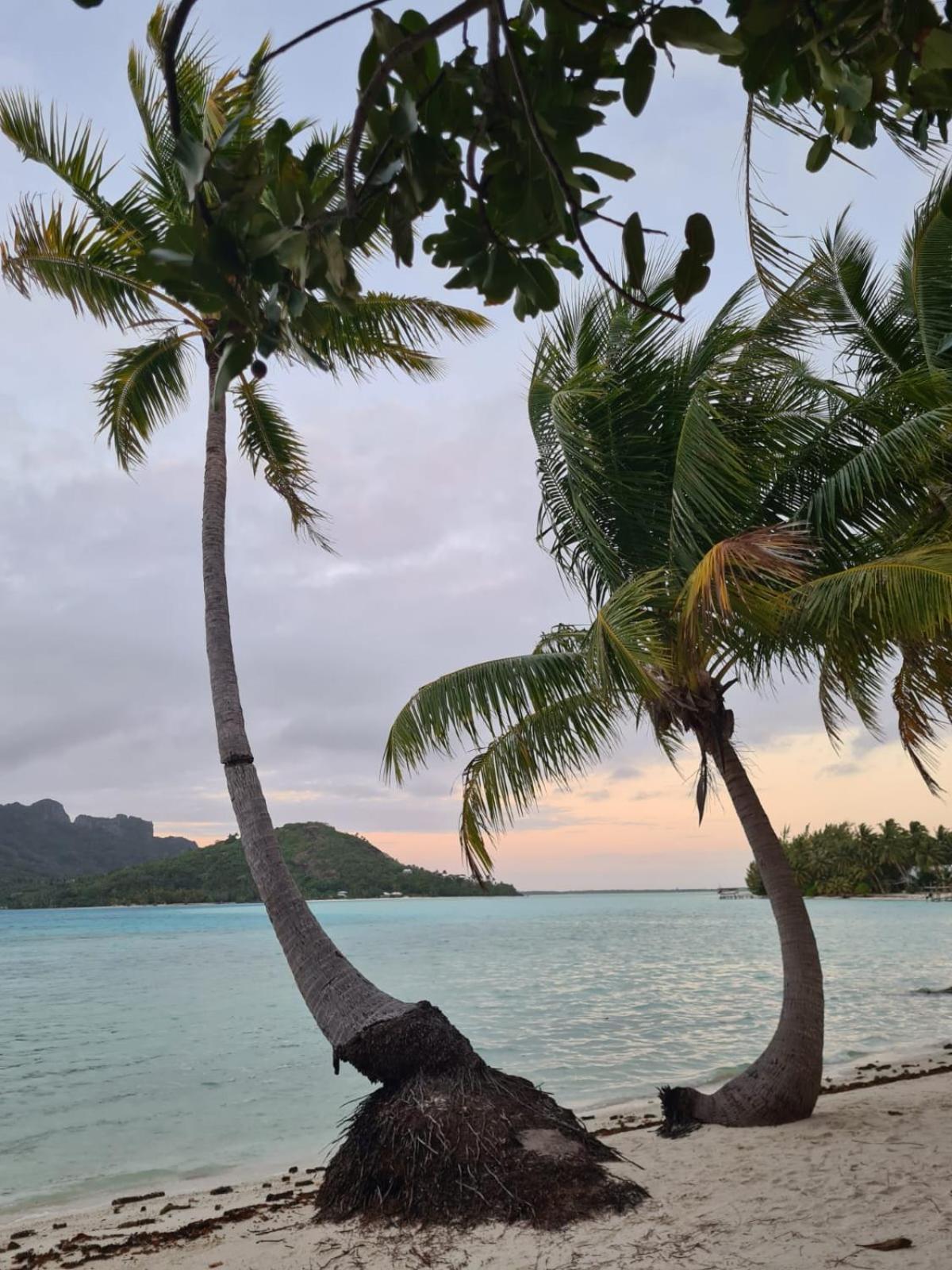 Poemanahere Island Camping A Maupiti Te-Fare-Arii 외부 사진