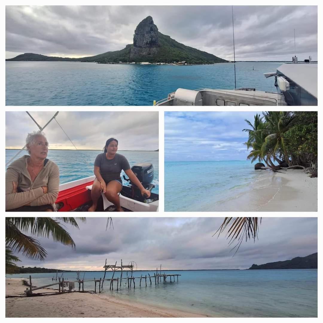 Poemanahere Island Camping A Maupiti Te-Fare-Arii 외부 사진